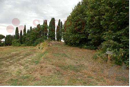 Immobile a Marsciano
