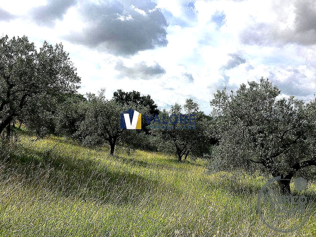 TERRENO AGRICOLO VENDITA ASSISI PALAZZO · foto 1