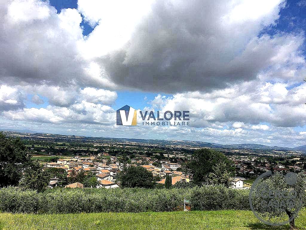 TERRENO AGRICOLO VENDITA ASSISI PALAZZO · foto 3