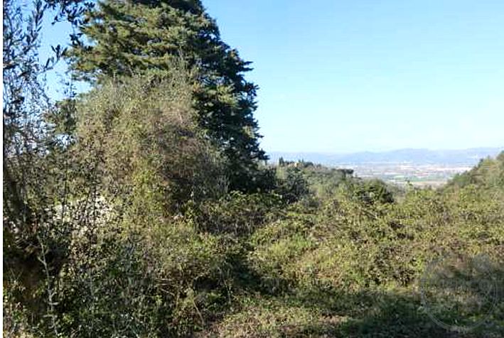 Commerciale a Bettona