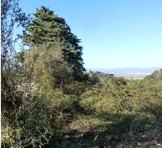 Commerciale a Bettona