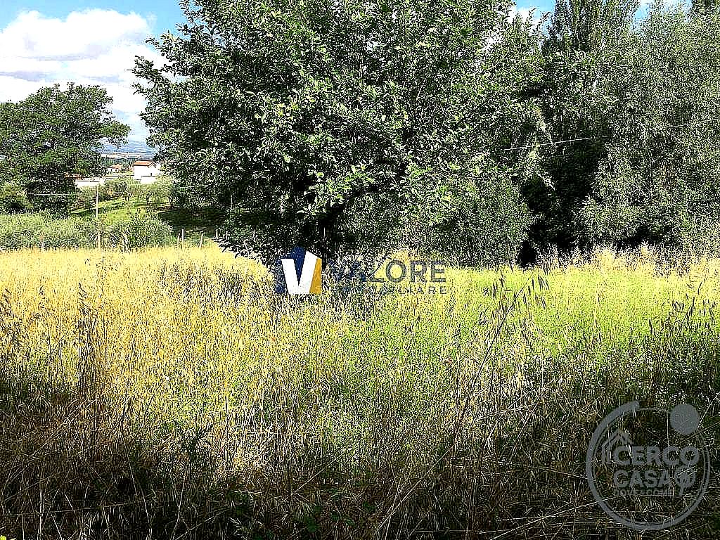 TERRENO AGRICOLO VENDITA ASSISI PALAZZO