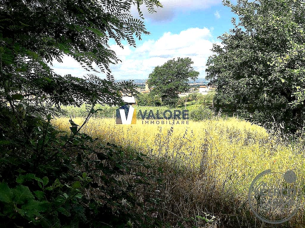 TERRENO AGRICOLO VENDITA ASSISI PALAZZO · foto 2