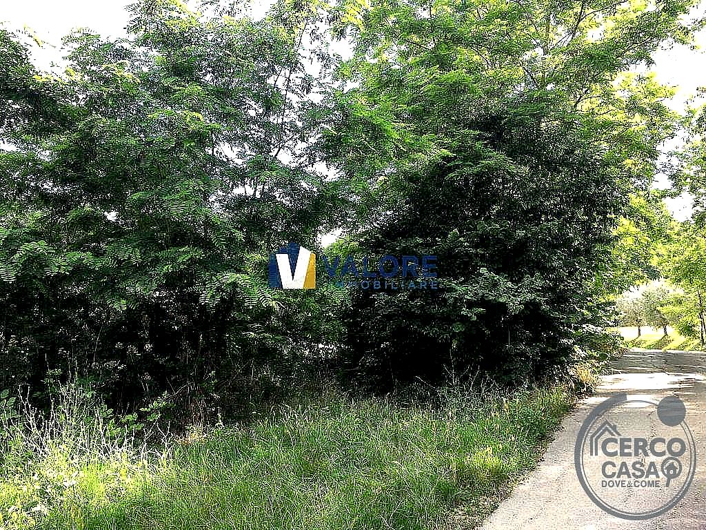 TERRENO AGRICOLO VENDITA ASSISI PALAZZO · foto 3