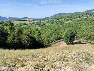 Immobile a Assisi