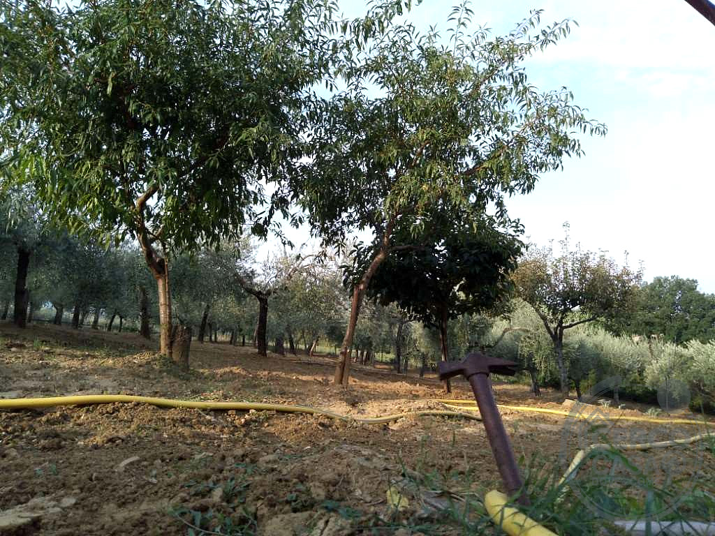 SEMINDIPENDENTE DA COMPLETARE VENDITA CON TERRENO