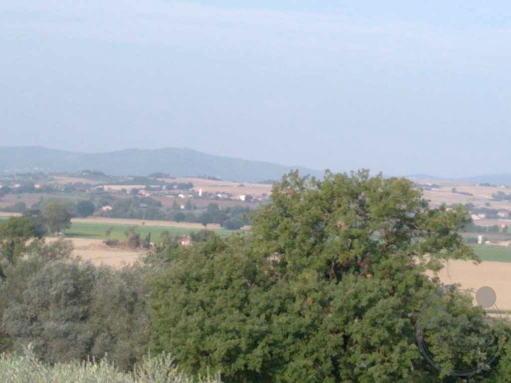 SEMINDIPENDENTE DA COMPLETARE VENDITA CON TERRENO