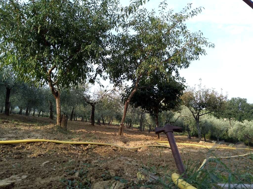 SEMINDIPENDENTE DA COMPLETARE VENDITA CON TERRENO