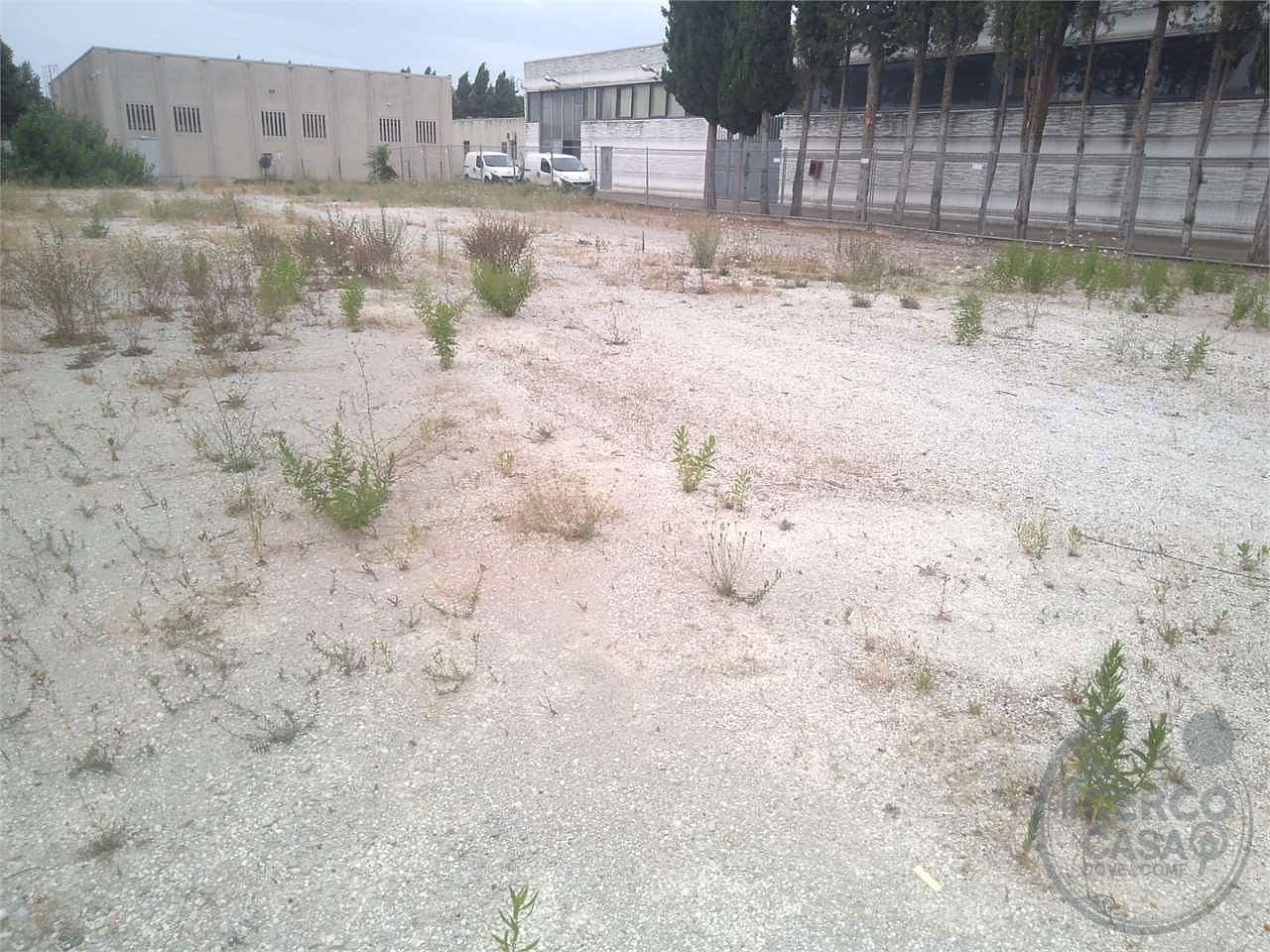 CASALE CON TERRENO EDIFICABILE