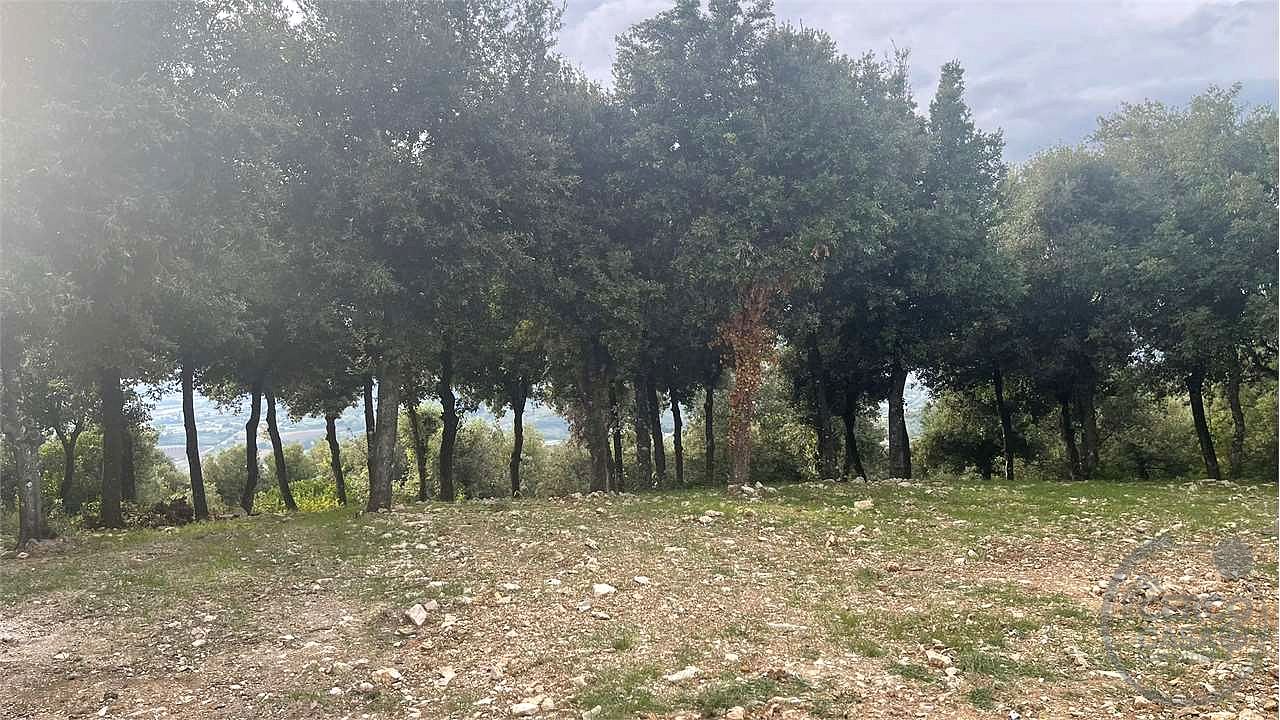 TERRENO EDIFICABILE A CORCIANO VIA DEI LECCI