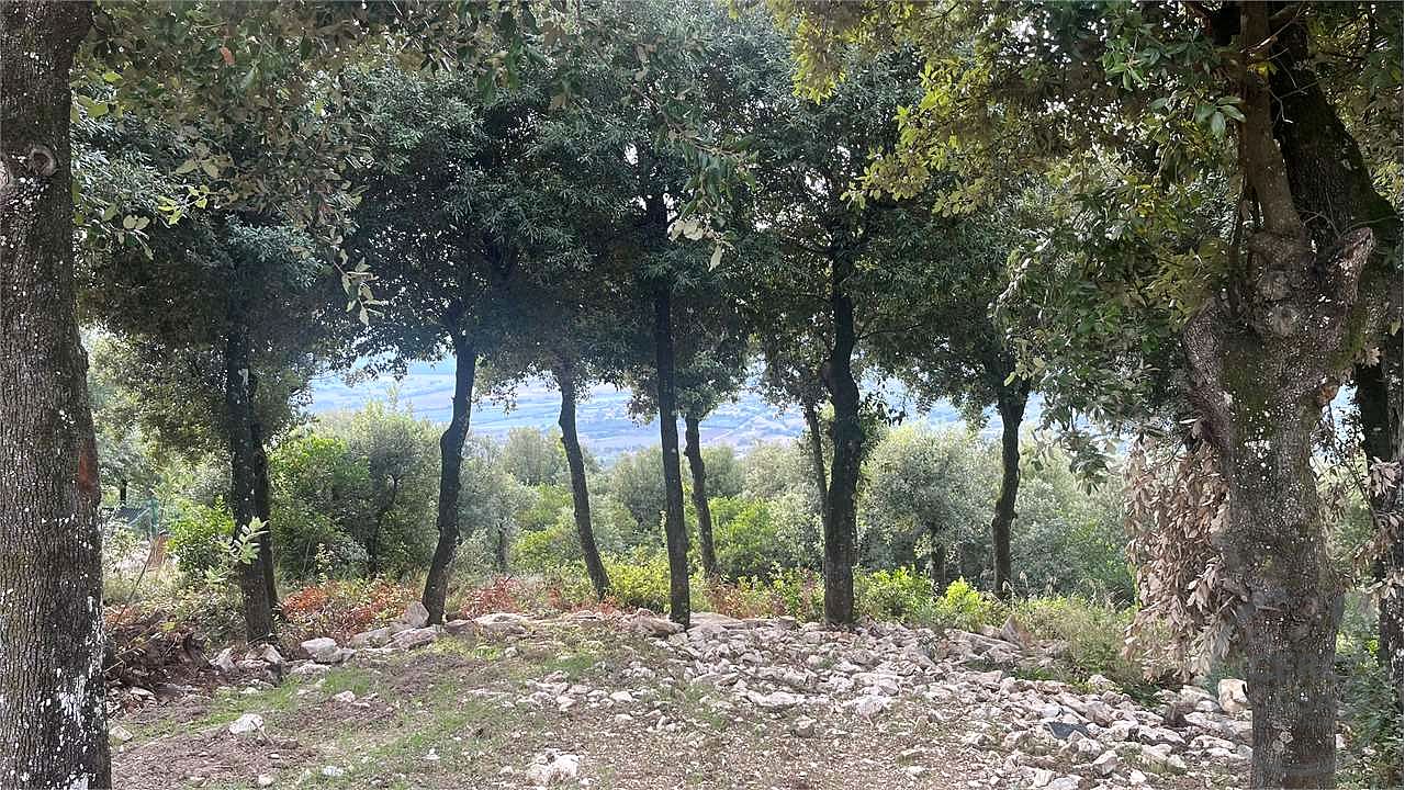 TERRENO EDIFICABILE A CORCIANO VIA DEI LECCI
