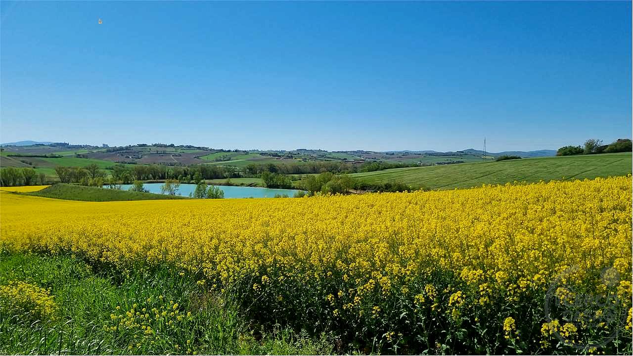 Marsciano casale da ristrutturare collinare panoramico