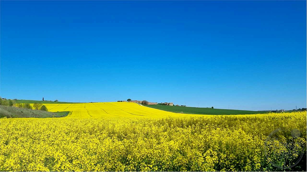 Marsciano casale da ristrutturare collinare panoramico