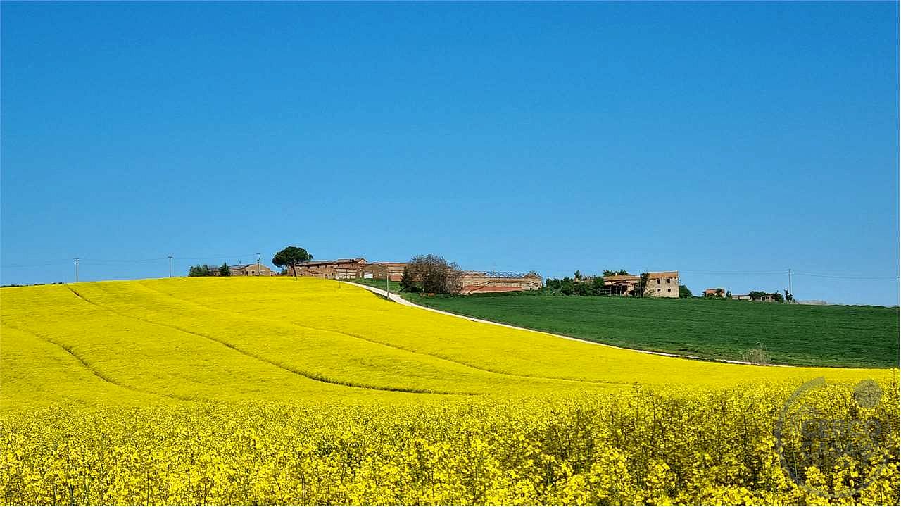 Marsciano casale da ristrutturare collinare panoramico