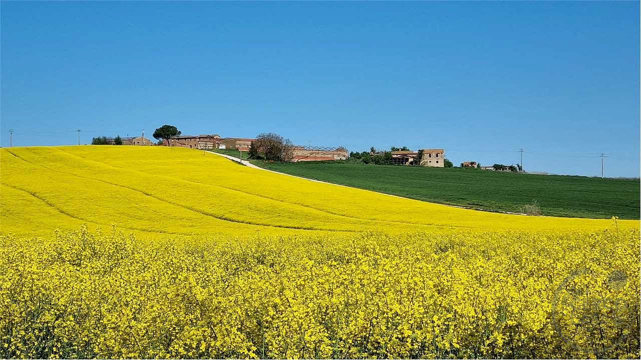 Marsciano casale da ristrutturare collinare panoramico