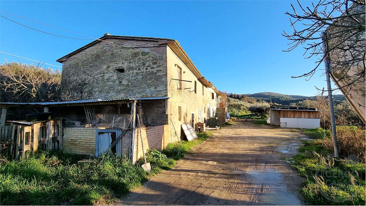 Torgiano Casale panoramico con 900 olivi