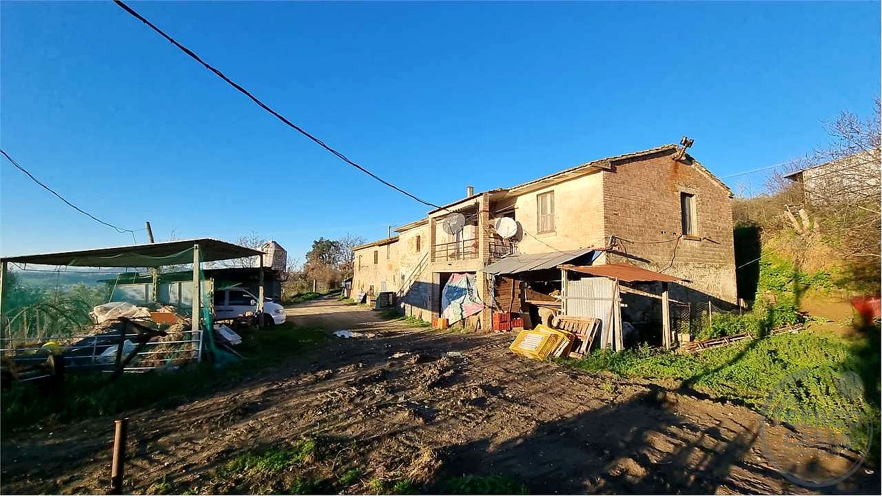 Torgiano Casale panoramico con 900 olivi