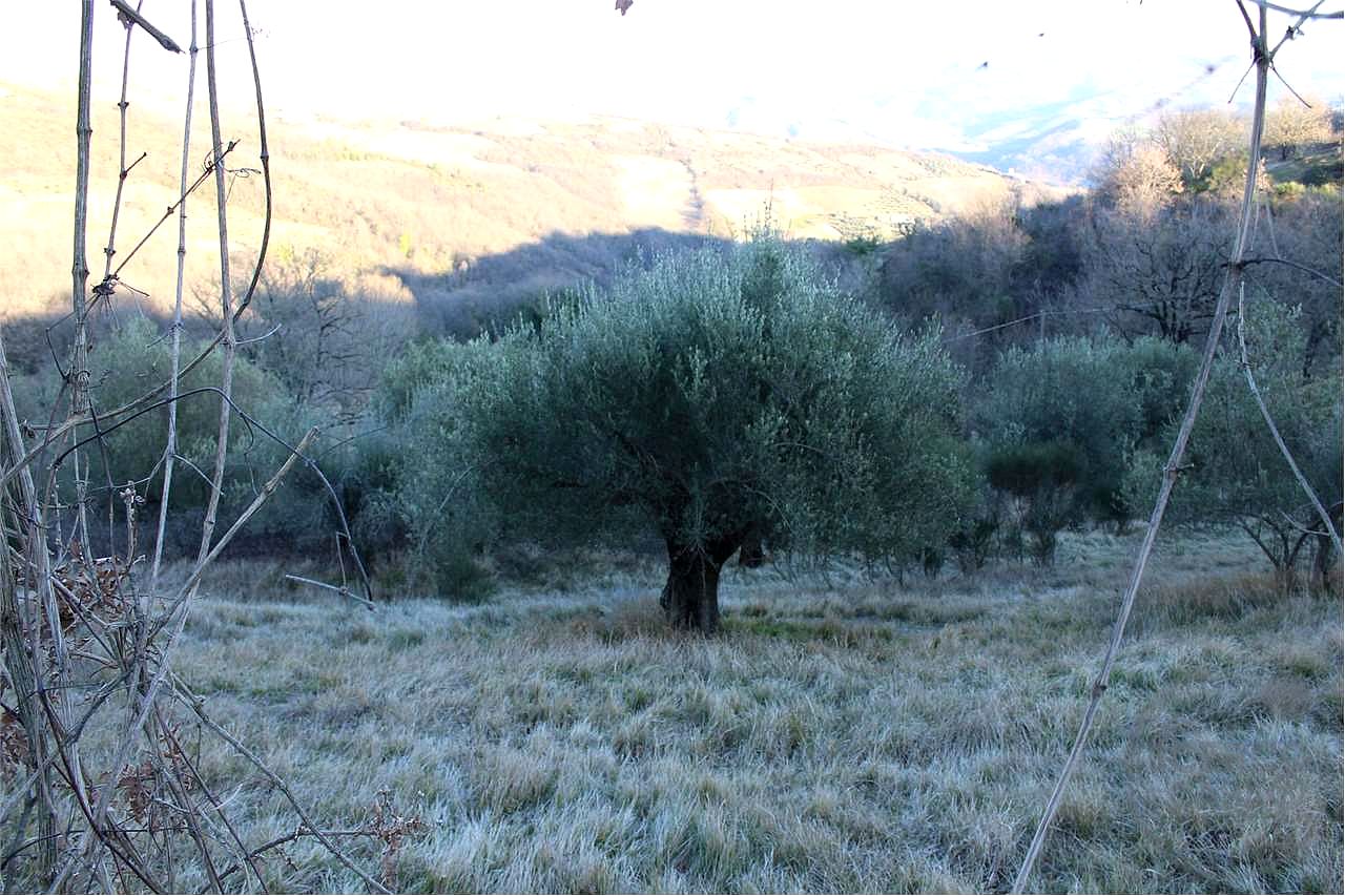 Residenziale a Valfabbrica