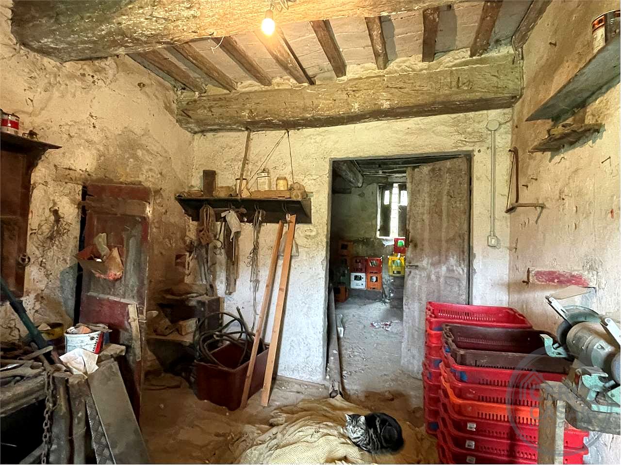 Casale con terreno