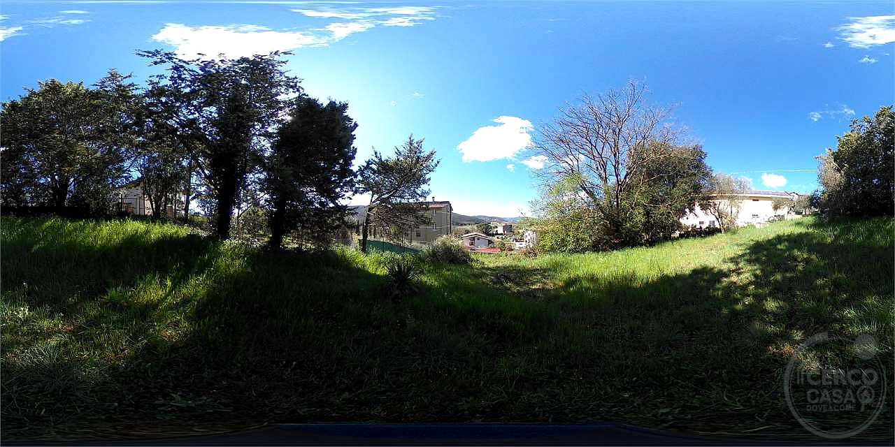 Capocavallo