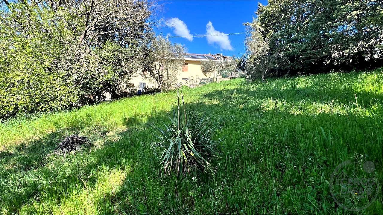 Capocavallo