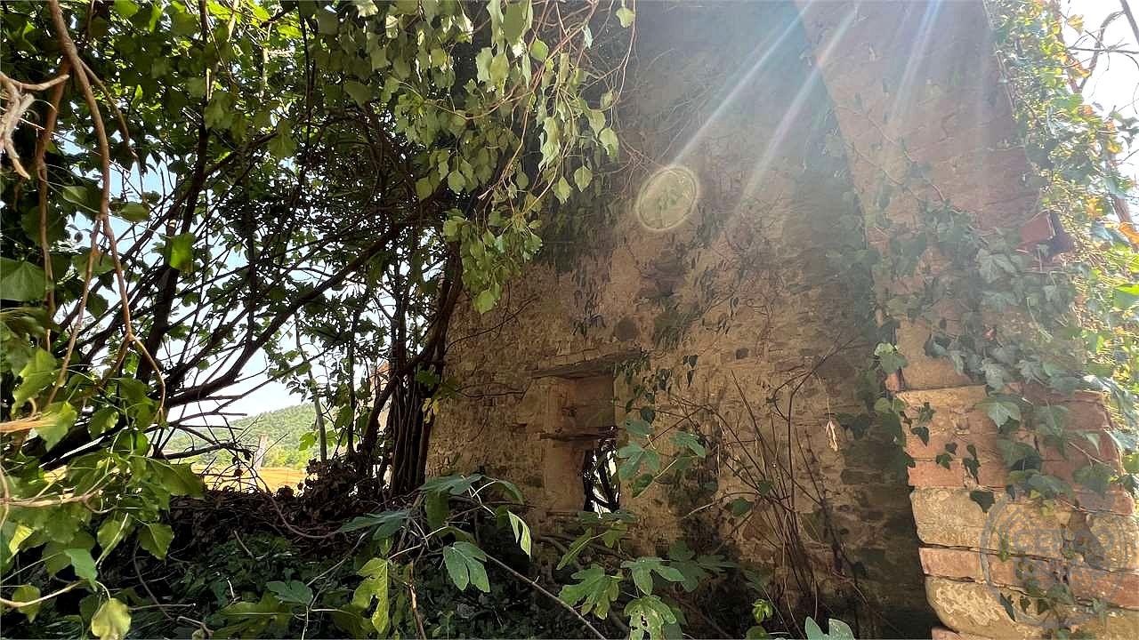 CENERENTE - LA CASA SUL RUSCELLO