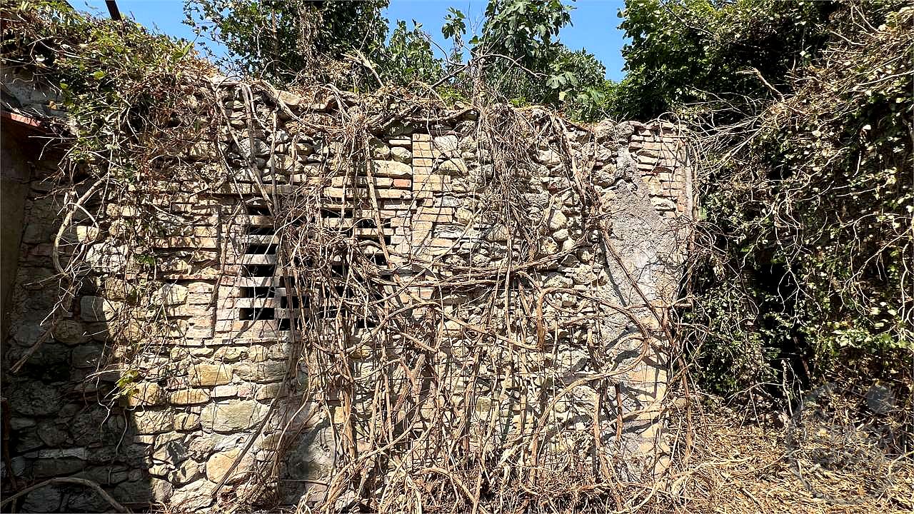 CENERENTE - LA CASA SUL RUSCELLO