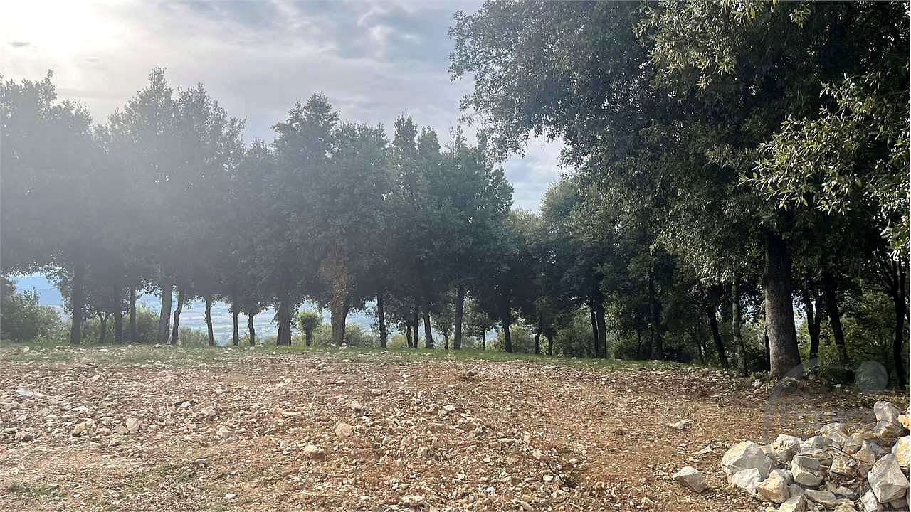 TERRENO EDIFICABILE A CORCIANO VIA DEI LECCI