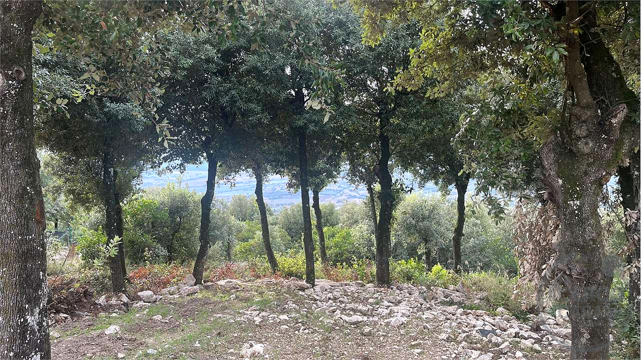 TERRENO EDIFICABILE A CORCIANO VIA DEI LECCI