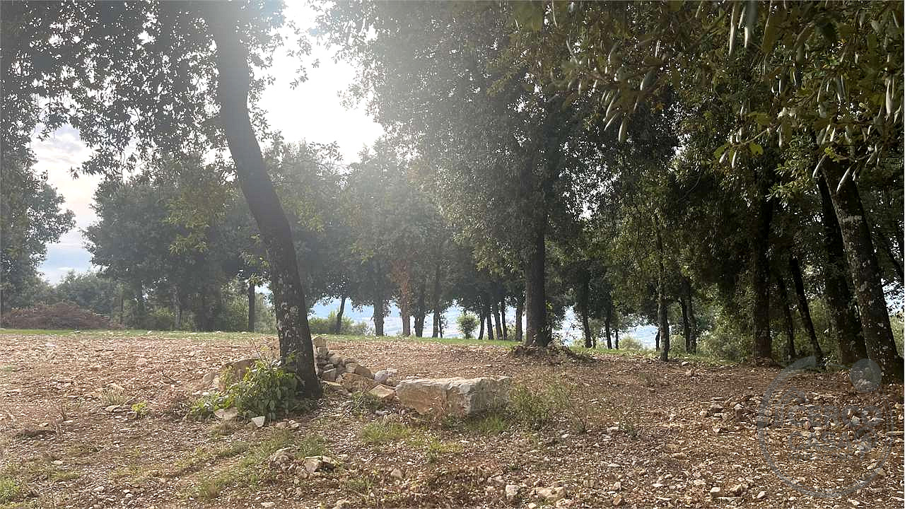 TERRENO EDIFICABILE A CORCIANO VIA DEI LECCI