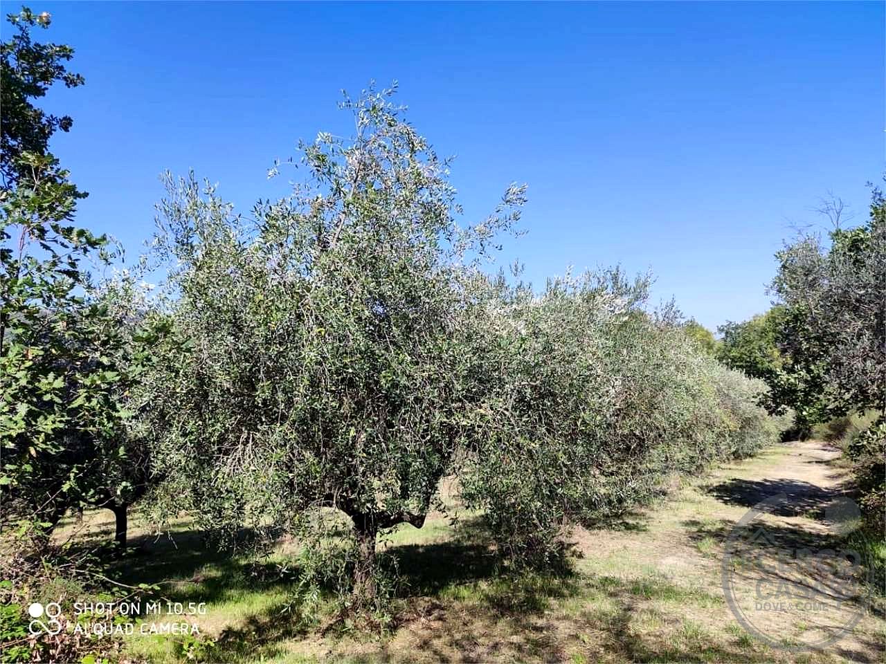 Residenziale a Bevagna