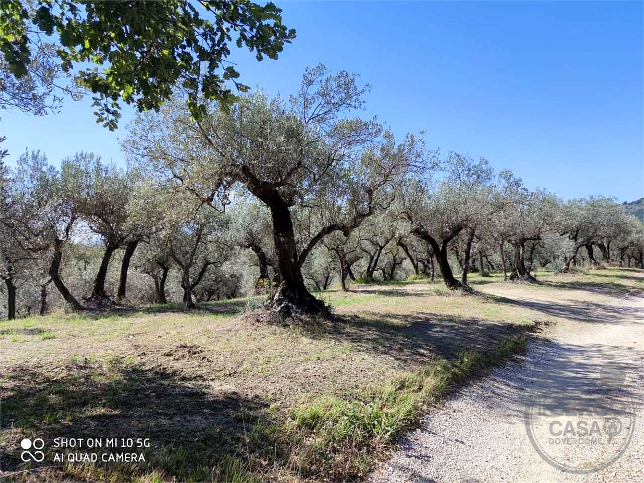 Residenziale a Bevagna