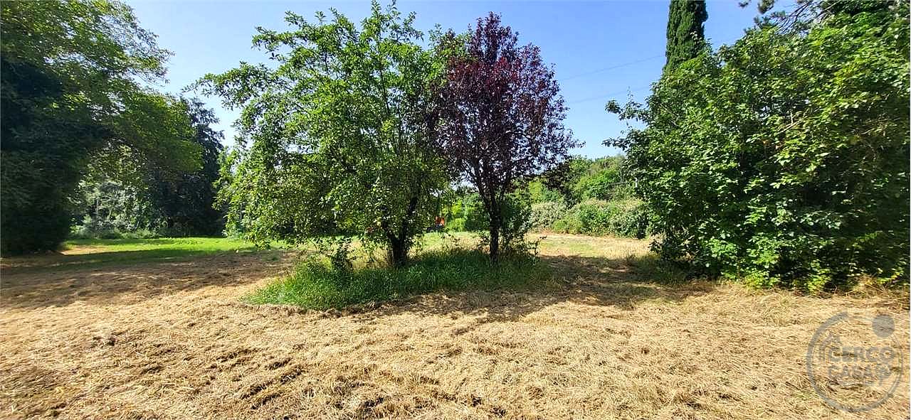 ACQUASPARTA - CASALE CON TERRENO