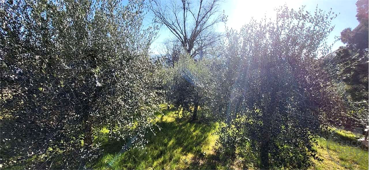 Residenziale a Todi