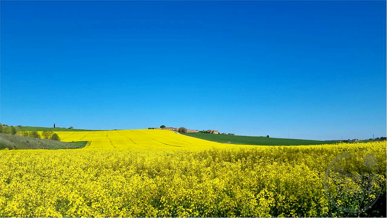 Marsciano casale da ristrutturare collinare panoramico
