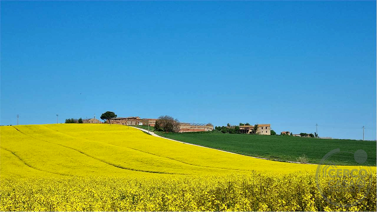 Marsciano casale da ristrutturare collinare panoramico