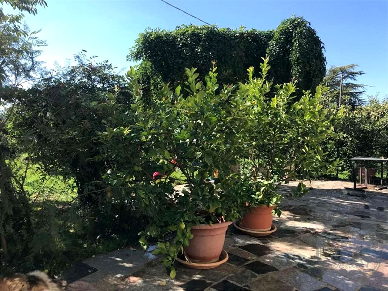Residenziale a Spello