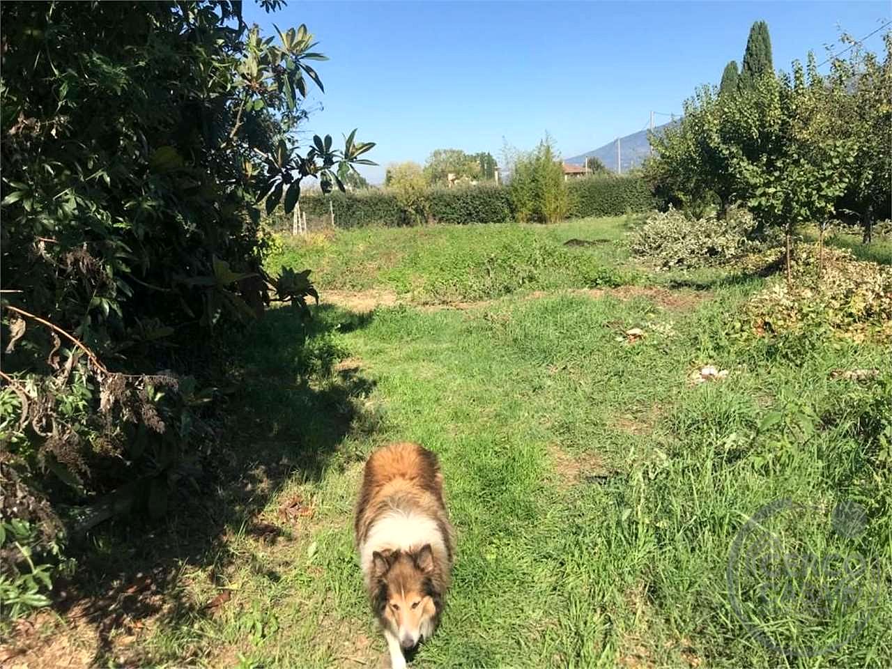 Residenziale a Spello