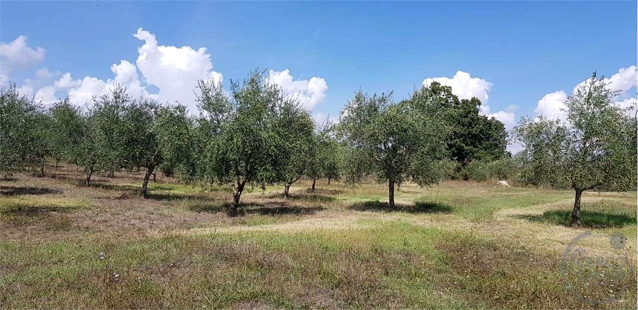 Immobile a Castell'Azzara