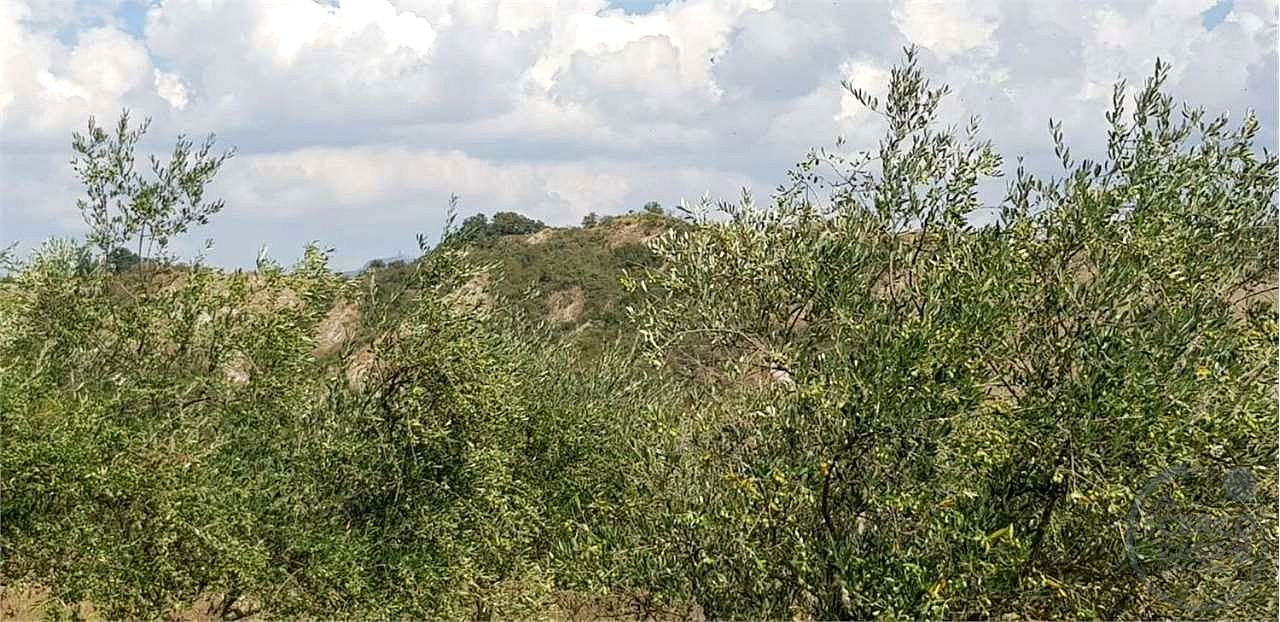 Immobile a Castell'Azzara