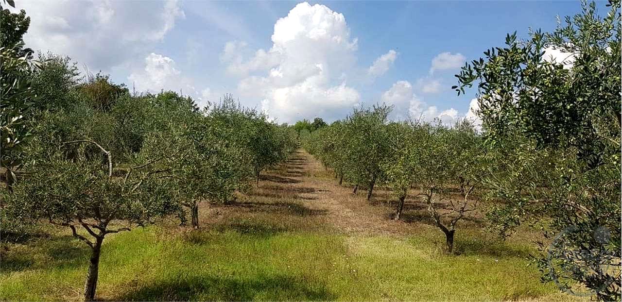 Immobile a Castell'Azzara