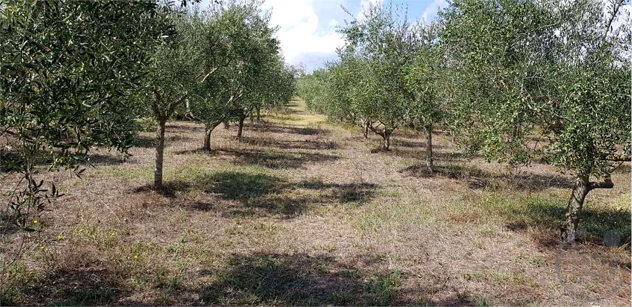 Immobile a Castell'Azzara