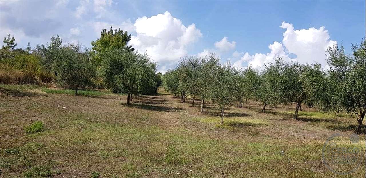 Immobile a Castell'Azzara