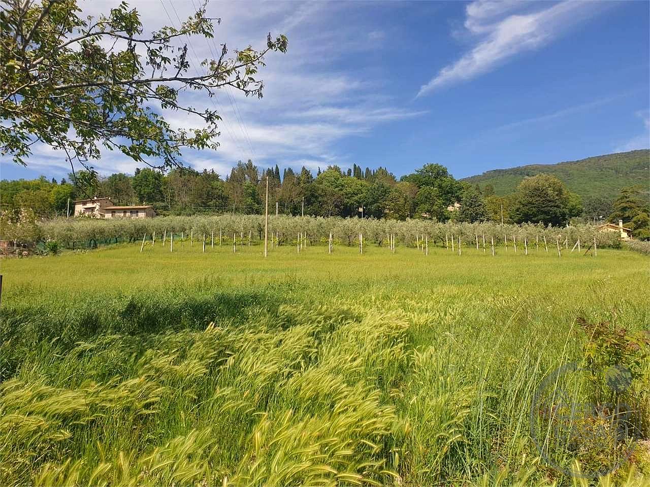 ASSISI - TERRENO AGRICOLO
