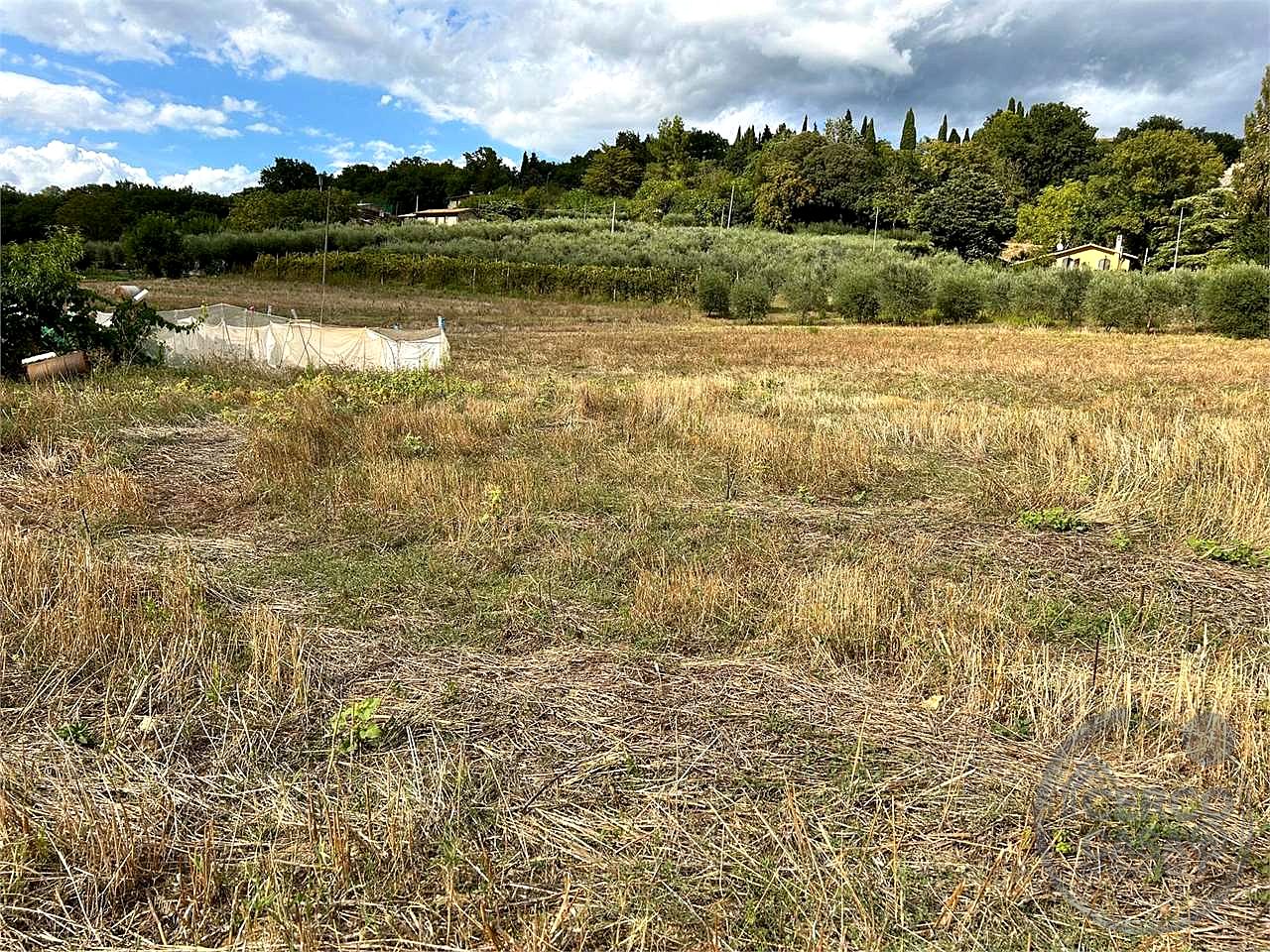 ASSISI - TERRENO AGRICOLO