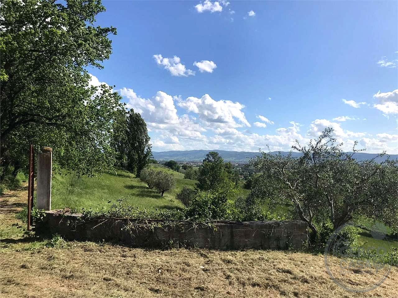 ASSISI - TORDIBETTO: TERRENO AGRICOLO