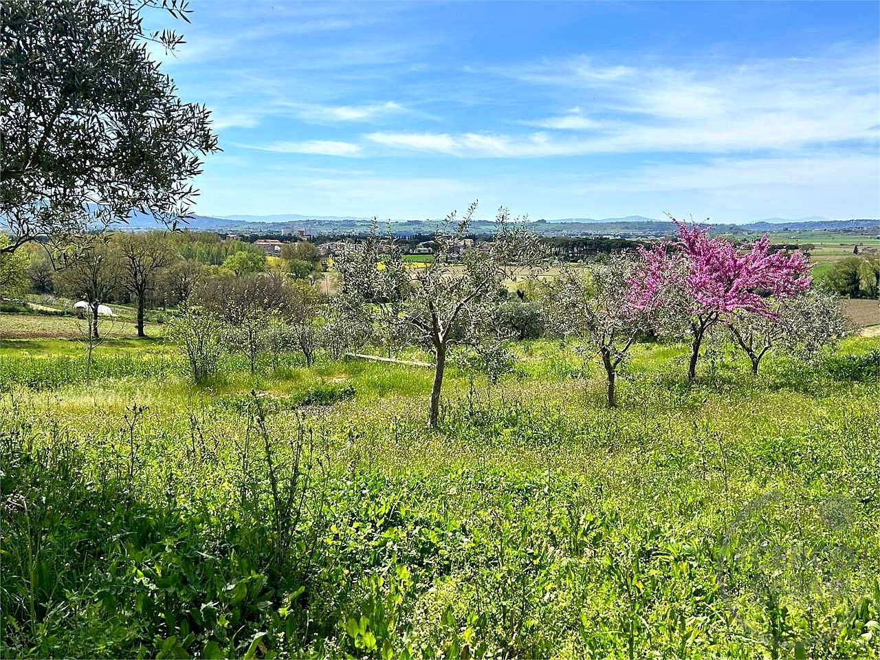 ASSISI - CASALE CON TERRENO