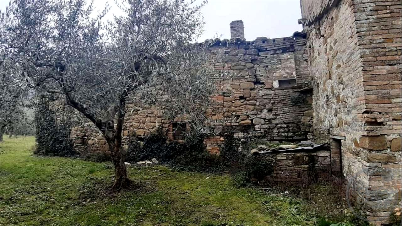 ASSISI - CASALE CON TERRENO