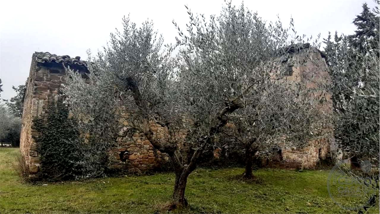 ASSISI - CASALE CON TERRENO