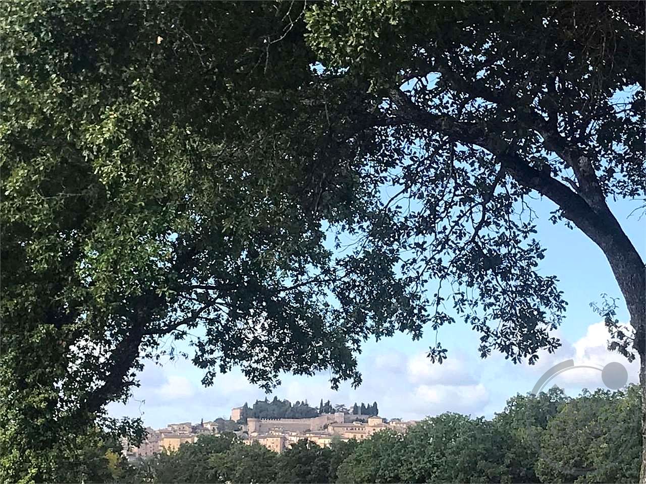 SPELLO - PORZIONE DI CASALE CON GIARDINO
